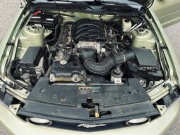 Ford Mustang full