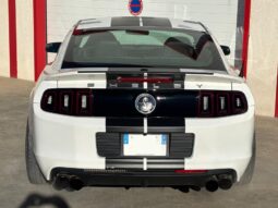 
										SHELBY GT 500 full									