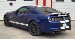 
										Shelby gt 500 pack svt full									