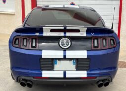 
										Shelby gt 500 pack svt full									
