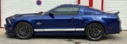 
										Shelby gt 500 pack svt full									